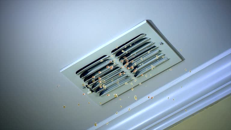 Best Ductwork Cleaning Services  in Lake Sarasota, FL