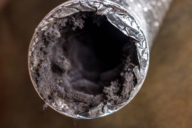 Trusted Lake Sarasota, FL Airduct Cleaning Experts