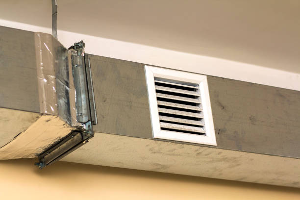 Best Air Duct Cleaning Near Me  in Lake Sarasota, FL